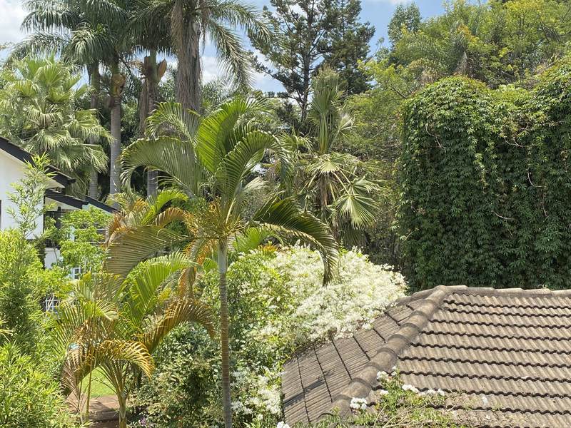 Manor on Lower Kabete - Family Room